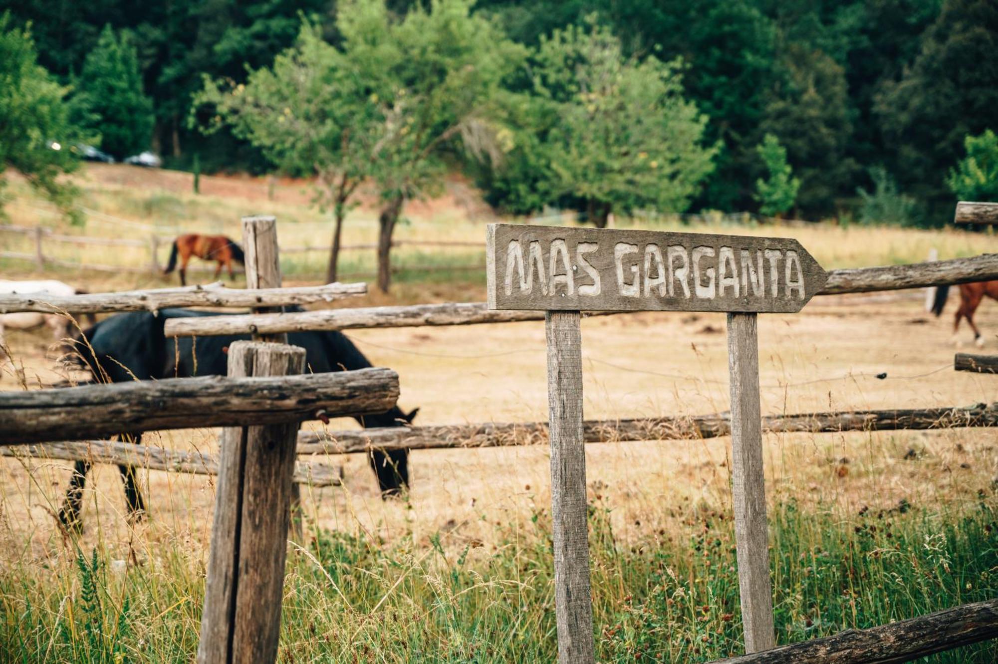La Pinya Casa Rural Mas Garganta מראה חיצוני תמונה